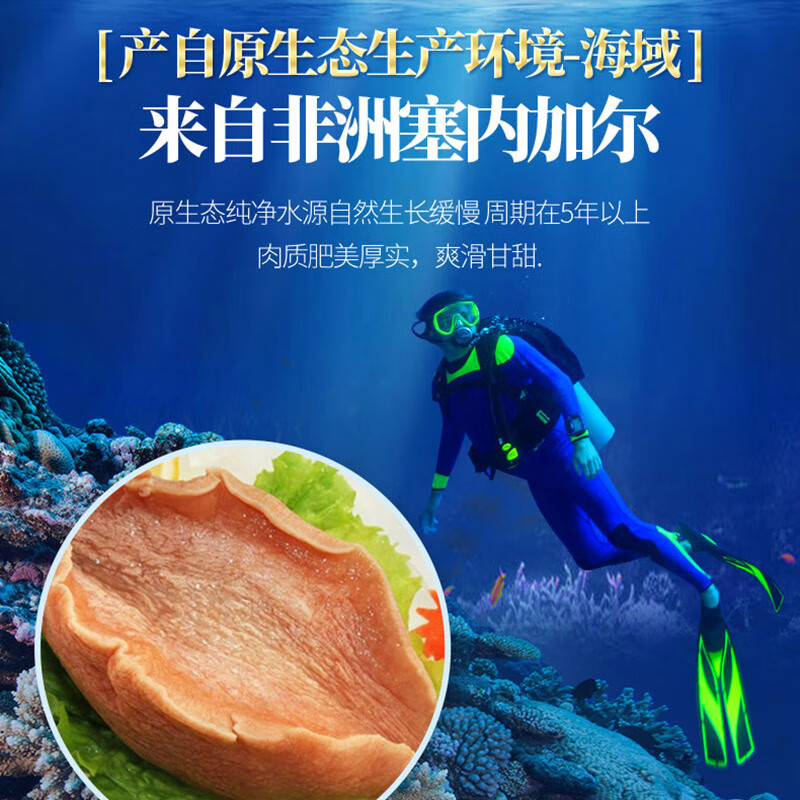 海文铭 深海黄金螺片螺肉300g 加热即食 麻辣烫火锅食材涮煮凉拌小菜 300g 37.