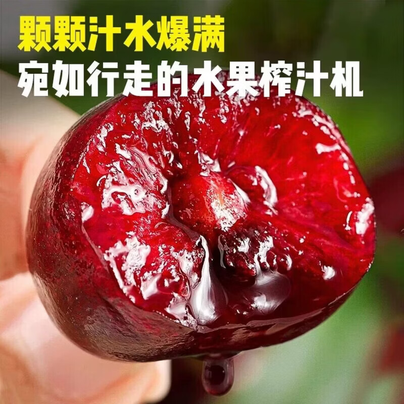 爱佳美品 美早大樱桃 源头直发 4.8斤(净重) 24mm+ 79.9元（需用券）