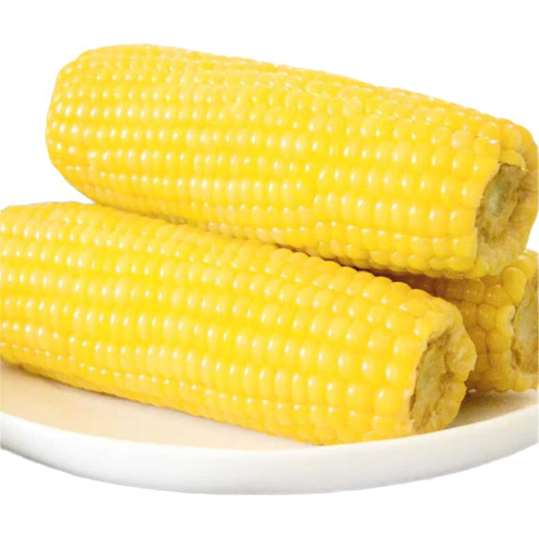 京鲜生 东北黄糯玉米 150g*10棒 真空包装 12.9元（需用券）