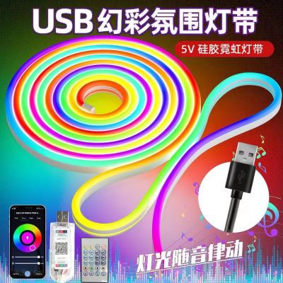 幻彩霓虹灯带跑马流水氛围灯USB5V硅胶音乐律动灯条电动车装饰灯 12.6元（需