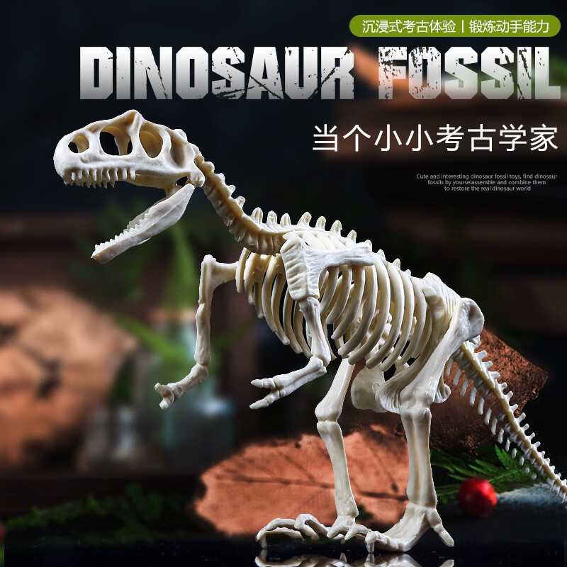 馨铂斯 考古挖掘玩具恐龙化石 霸王龙（彩盒包装带工具） 8.9元（需用券）