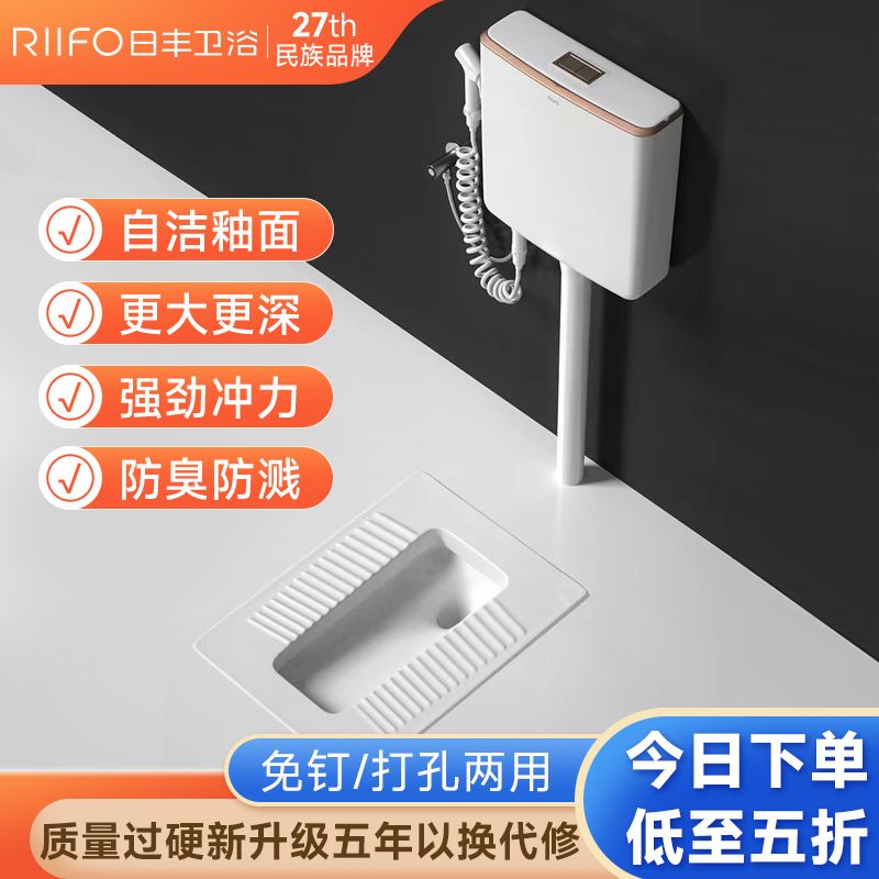 RIIFO 日丰卫浴 日丰蹲便器水箱套装大口径卫浴厕所冲水箱通用型陶瓷蹲便器