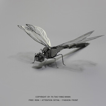 KIDNOAM 3D金属拼图 金属蜻蜓 ￥9.9