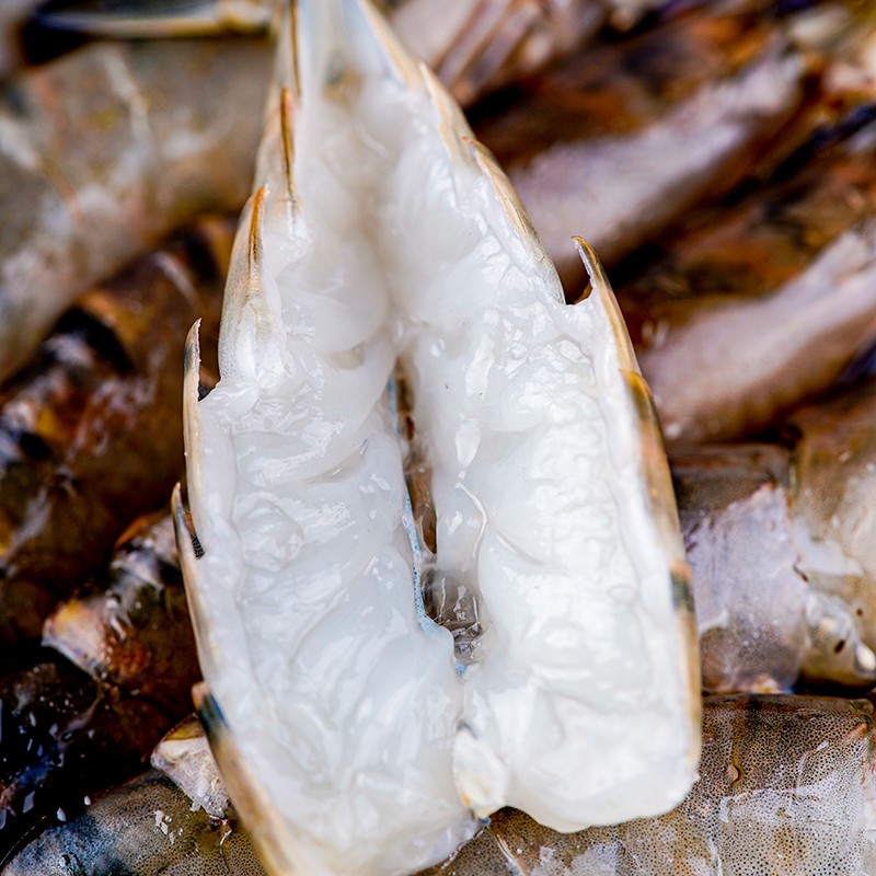 guolian国联guolian国联水产黑虎虾800g净重特大号1624只国产虾烧烤