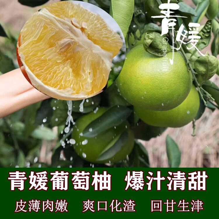 plus会员：水果蔬菜 青媛葡萄柚 9斤中果（9-12个） 24.9元（需用券）