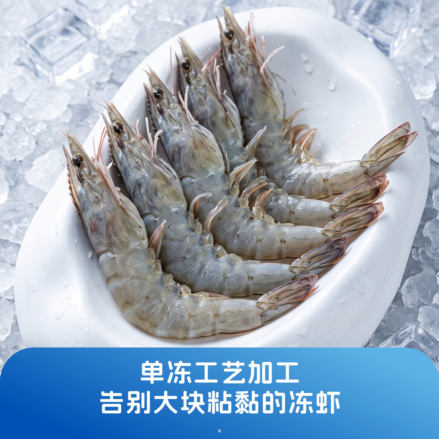 海洋演义 厄瓜多尔南美白虾 盐冻大虾 69.9元