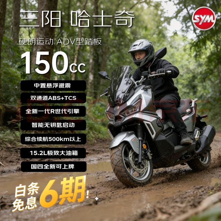 SYM 24款三阳哈士奇ADV &150 龙骨踏板 &燃油摩托车长续航智控运动 烟茶黑 1438