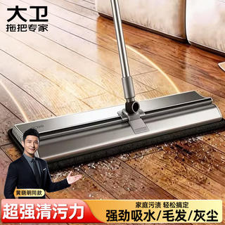 大卫 60cm大号平板拖把P16免手洗 2个拖布 拖把套装 33.65元 - 86线报 大卫 60cm大号平板拖把P16免手洗 2个拖布 拖把套装 33.65元 - 86线报