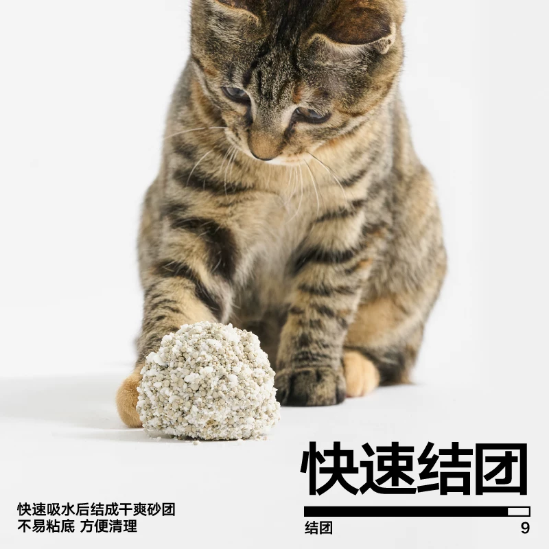 pidan 木薯膨润土混合猫砂2.4kg*4 52.09元 - 86线报