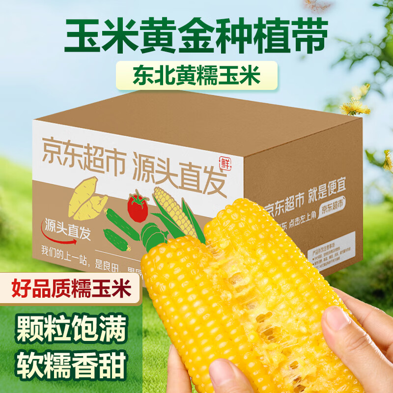 京鲜生 Mr.Seafood GREENSEER 绿鲜知 新鲜甜玉米 黄粒 1kg 简装 新鲜蔬菜 云南产地