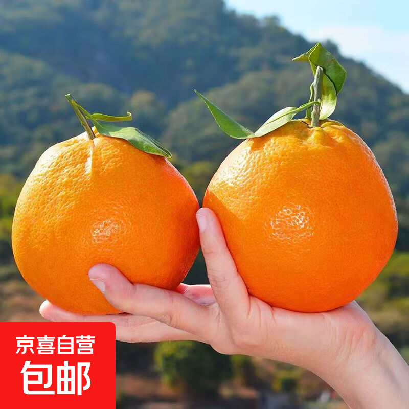 眉山耙耙柑 四川新鲜柑橘 水果年货 整箱3斤装 7.9元(需领券)