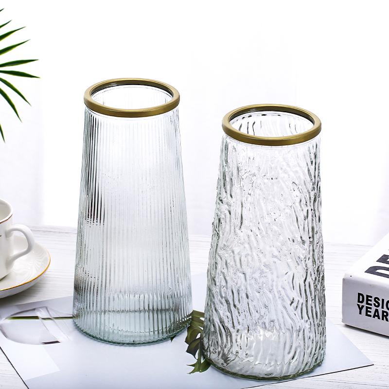 玻璃花瓶透明水养富贵竹轻奢大号客厅家用插花瓶摆件台面桌面现代 4.9元
