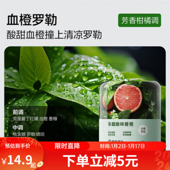 YANXUAN 网易严选 车载香薰 血橙罗勒150g ￥5.85