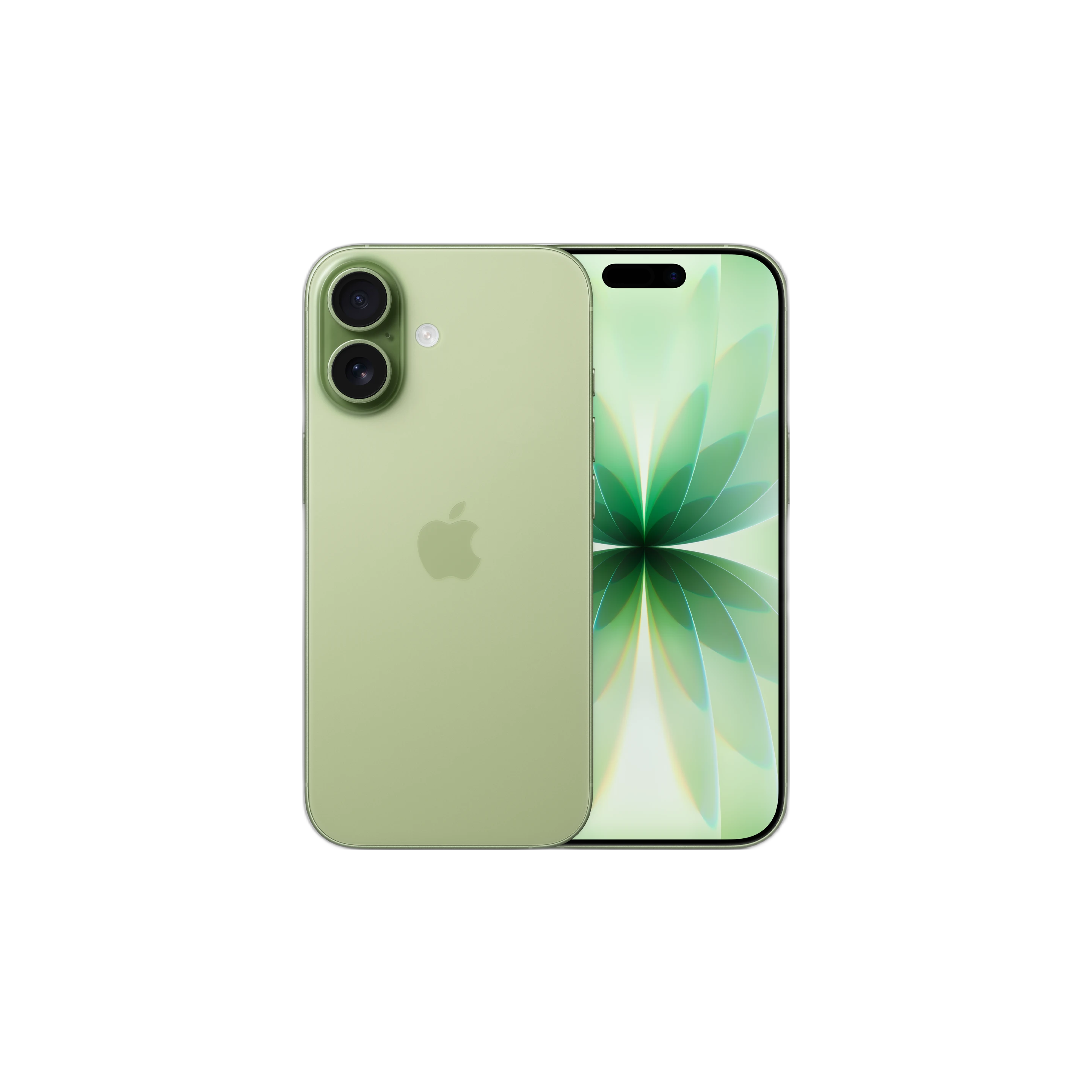 Apple iPhone 17 5G手机 8GB+256GB 鼠尾草绿色 5394元