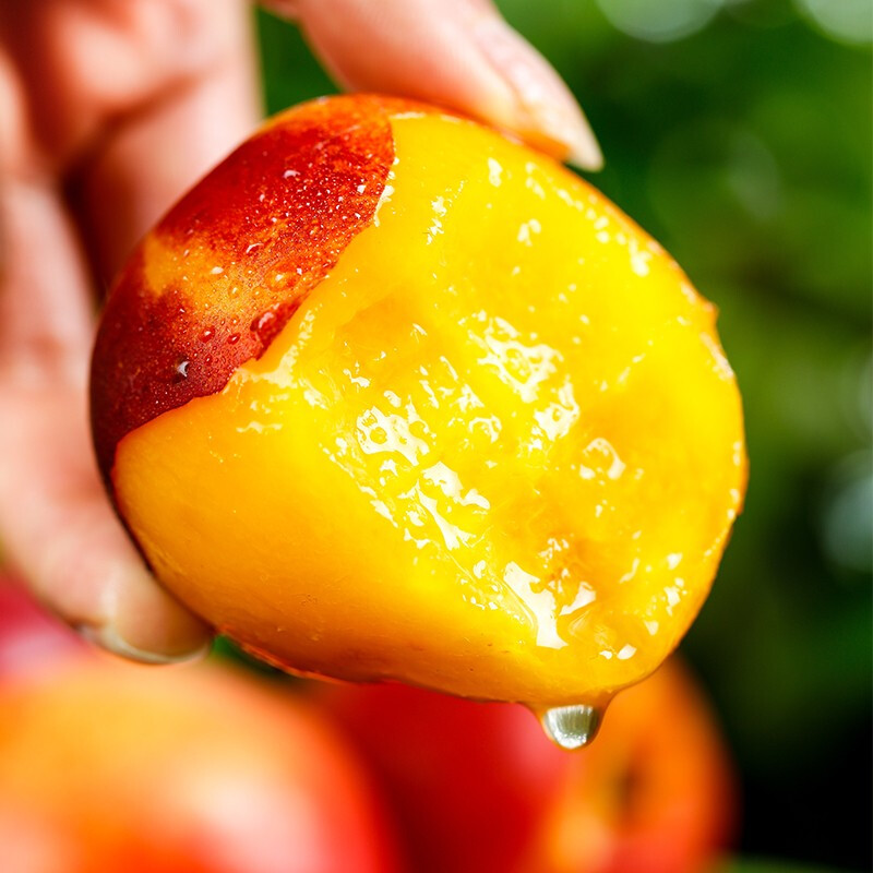 淳果一木 赤眉油桃 5斤（净重4.5斤）单果80克起黄肉桃子新鲜水果生鲜水果 1