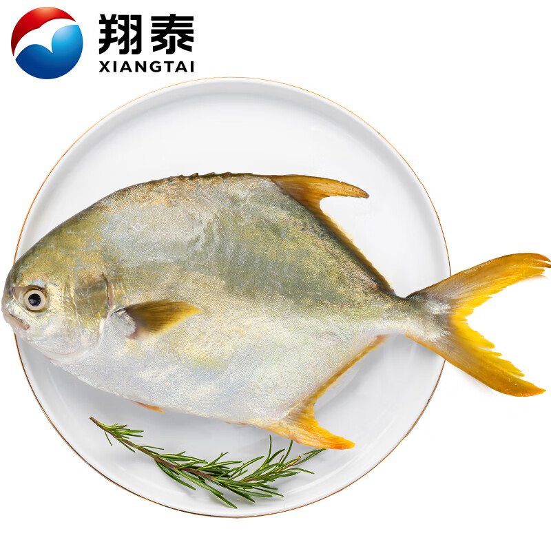 翔泰 冷冻海南大规格金鲳鱼550g1条 海鱼 生鲜鱼类 火锅 海鲜水产*4＋凑单品 