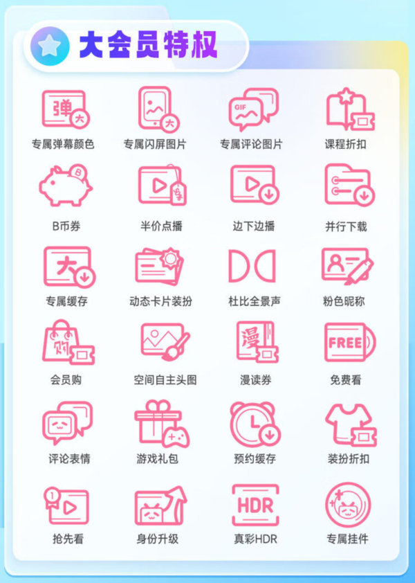 bilibili 哔哩哔哩 电视端大会员年卡 支持电视端