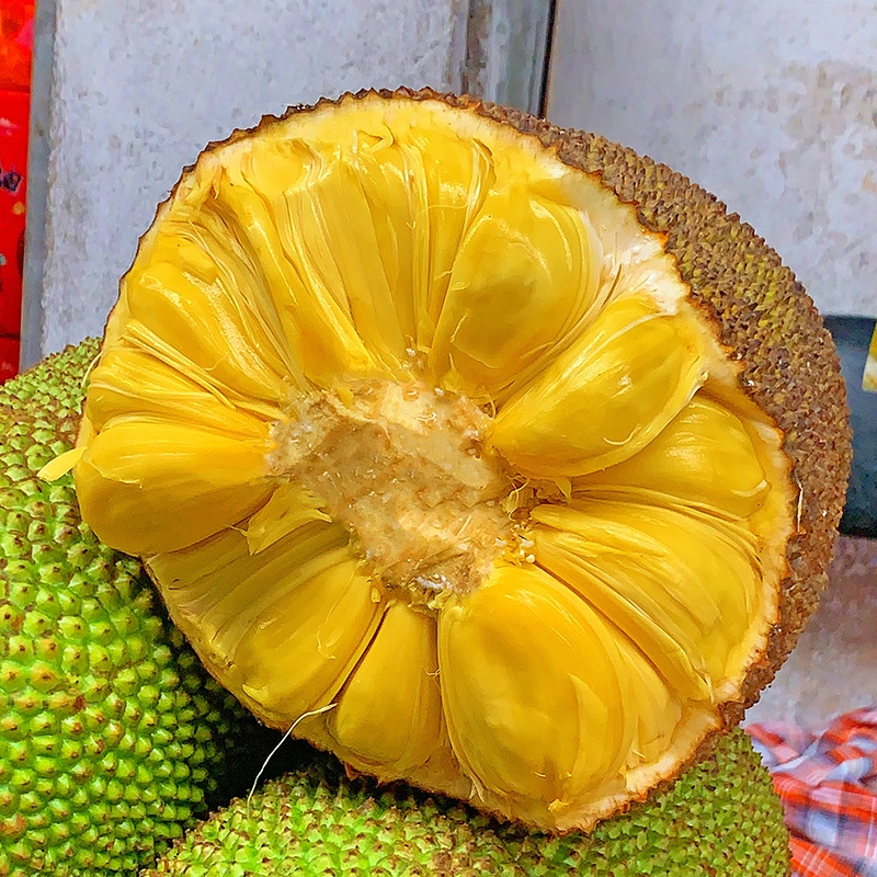 橙央 海南老树黄肉菠萝蜜 25-30斤 20-25斤 52元（需用券）