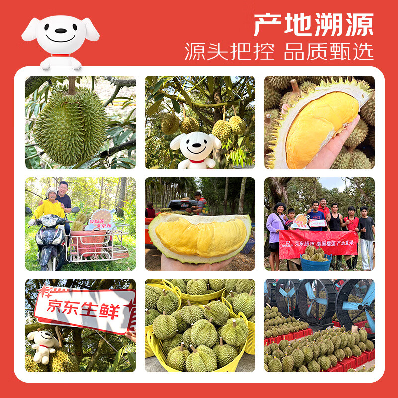 京鲜生 进口金枕头新鲜榴莲 净重4-5斤 1个装 生鲜水果 93.65元 - 线报酷