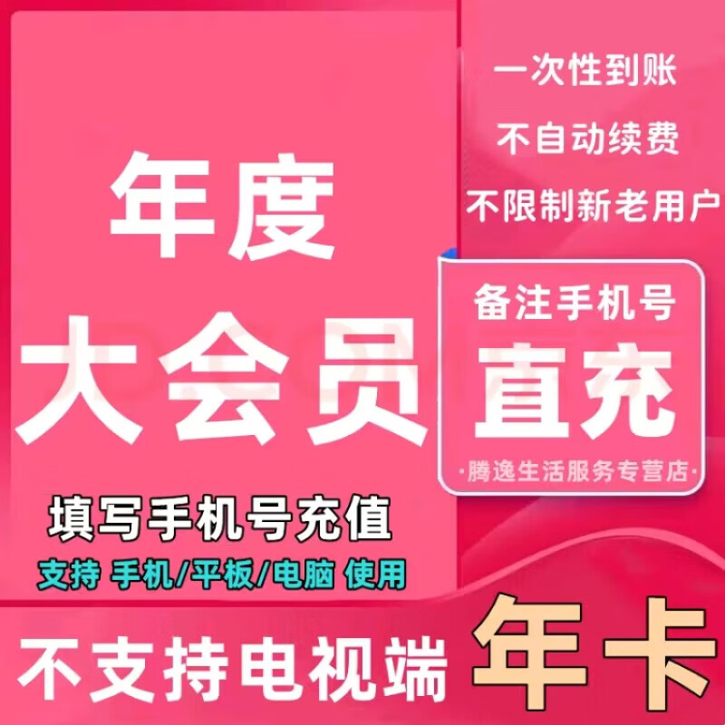 哔哩哔哩 B站大VIP会员12个月 99.8元