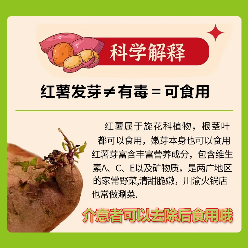 京百味 佳农宝菜山东烟薯25号单果100g+净重4.5斤适合烤的红薯源头直发 13.8元 - 清风线报