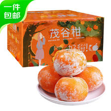 京鲜生 广西茂谷柑4.5斤 单果110-130g 脏脏柑橘子 源头直发包邮 任性5件，单