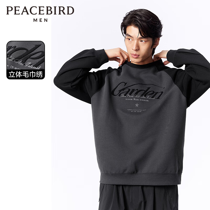 PEACEBIRD 太平鸟 男装本命年龙年年春季圆领刺绣重磅卫衣男士宽松毛巾绣上