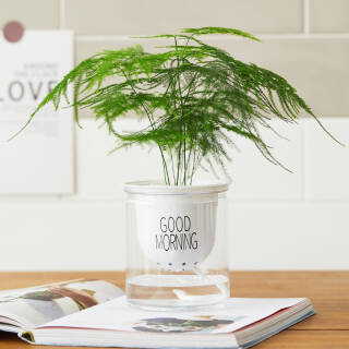 佳佰遮阳帘隔热防晒帘卧室阳台客厅窗帘布艺免打孔挂钩式窗帘浅灰140 270cm 3件145 4元 合48 47元 件 京东商城 逛丢 实时同步全网折扣