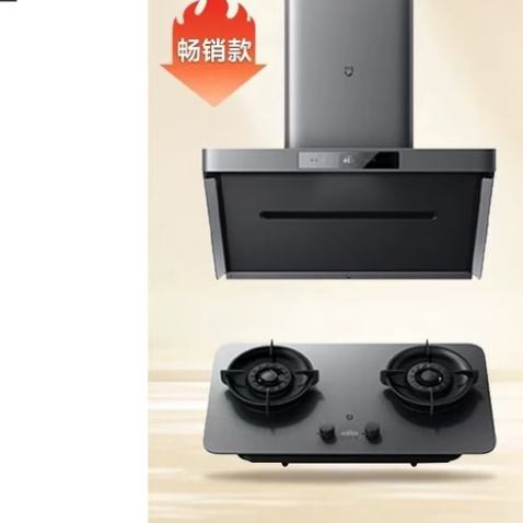 双11预告：Xiaomi 小米 MIJIA 米家 P1系列 CXW-165-MJ04CY+MJ03CY 变频烟灶套装 3999元