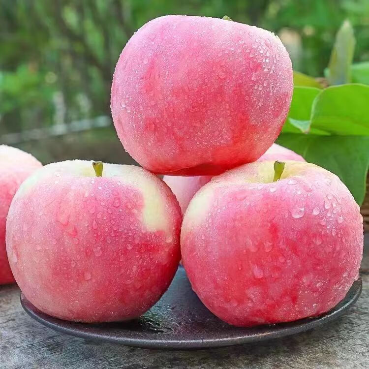 陕西红富士苹果， 9斤【特大果】 33.5元（需用券）