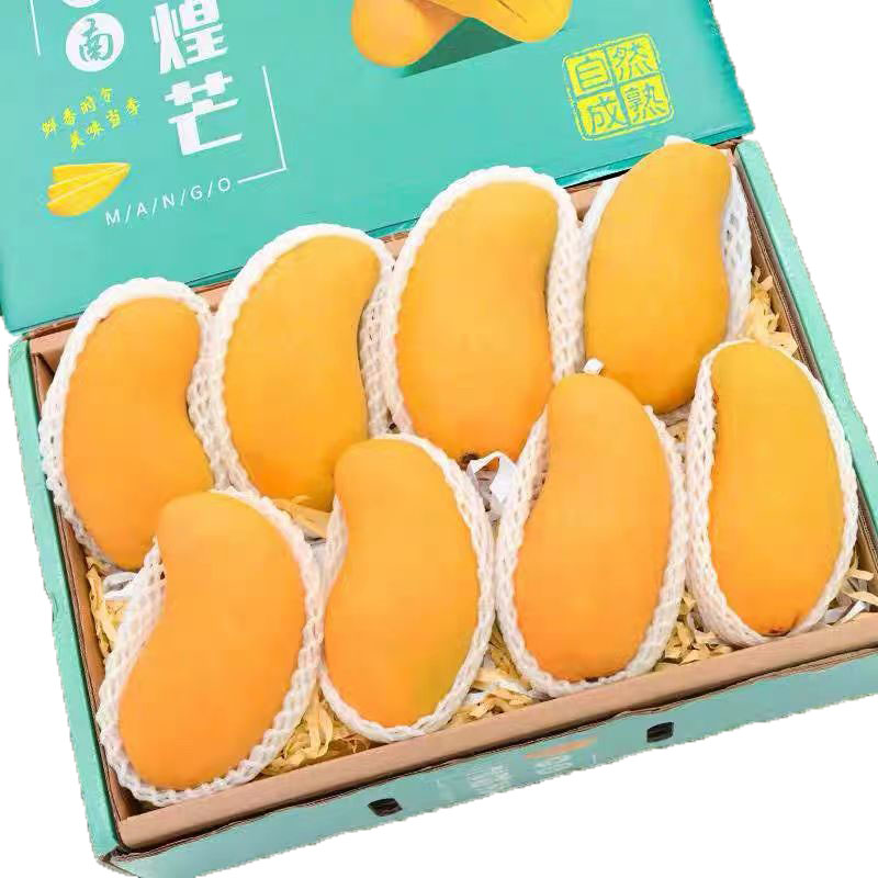 海南金煌芒果 4.5斤 特大果（单果400g+） 15.8元（需买2件，需用券）