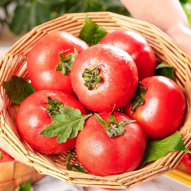 京百味 普罗旺斯西红柿 净重4.5斤 礼盒装 18.9元包邮