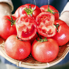 京百味山东普罗旺斯西红柿2kg 26.9元