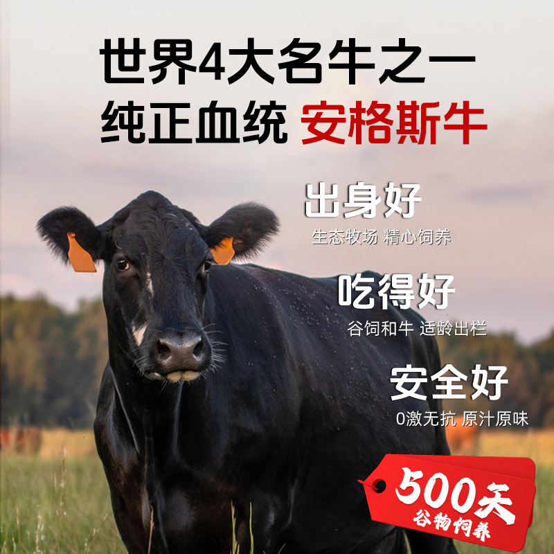 大用 安格斯牛肉饼谷饲速食儿童早餐半成品商用牛肉煲专用汉堡肉饼 14.9元