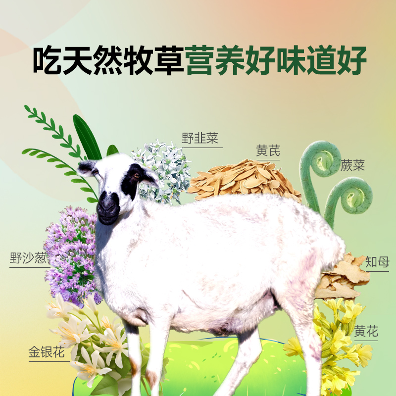 沁牧青格尔 内蒙乌珠穆沁羊羔羊排 760g 309元