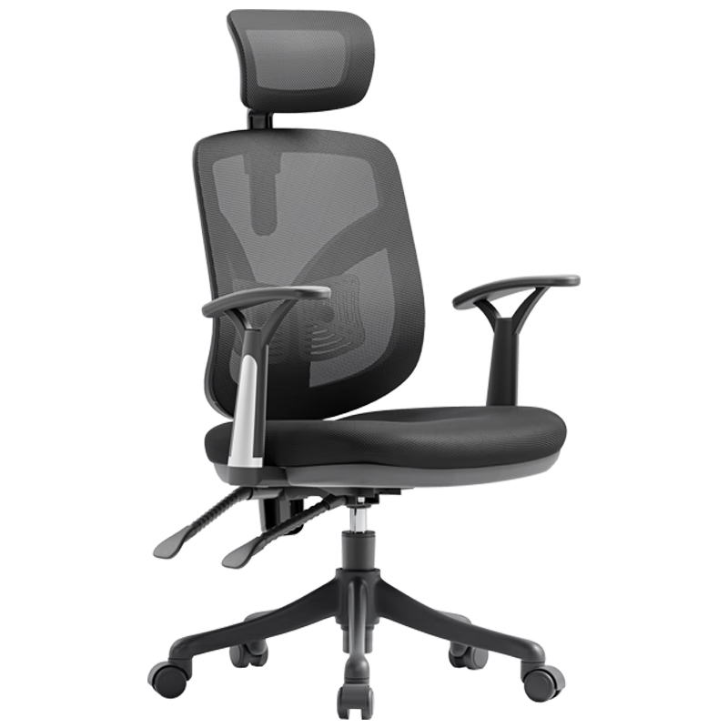 再降价、PLUS会员：SIHOO 西昊 M56-101 人体工学电脑椅 黑色 固定扶手款 283.9元