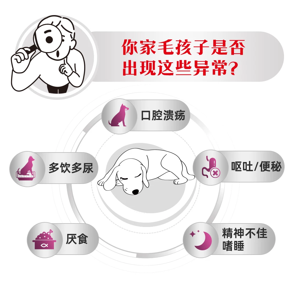皇家 成犬肾脏全价处方粮RF14狗粮 255.55元 - 86线报