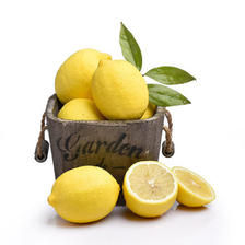 果迎鲜 黄柠檬 5斤 单果60-100g 12.9元包邮（需领券）