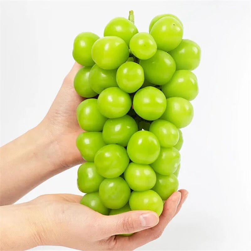 plus会员元族阳光玫瑰葡萄2kg70元包邮双重优惠