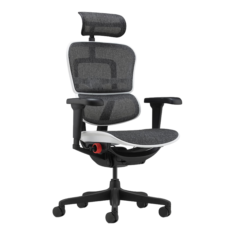 Ergonor 保友办公家具 保友金豪雄鹰X9 高性能舒腰畅赢游戏电竞椅 人体工学椅