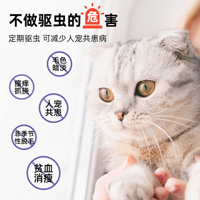 新宠之康 猫咪体外驱虫药滴剂 除跳蚤虱子蜱虫 8.23元（需买3件，共24.69元）