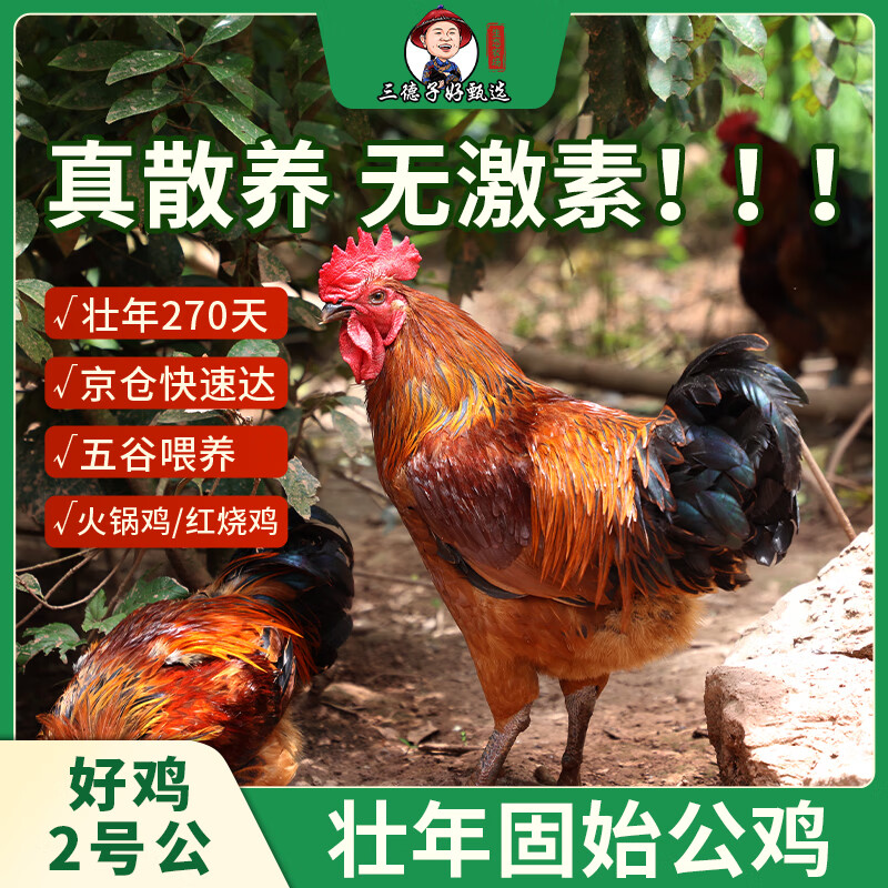 三德子好甄选 壮年公鸡好鸡2号山地散养270天土鸡肉质鲜嫩 净重2-2.3kg 208元