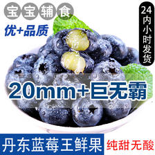 斯可沁 丹东纯甜蓝莓王20mm+ 2盒 每盒约125g新鲜水果宝宝辅食源头直发 99.9元
