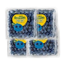 DRISCOLL'S/怡颗莓 怡颗莓新鲜水果云南蓝莓125g*8盒小果酸甜口感 ￥94.05