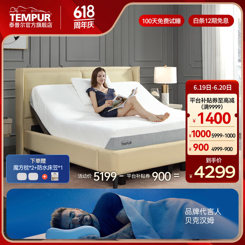 TEMPUR 泰普尔 EMPUR 泰普尔 乐享系列 记忆棉床垫 180*200*24cm 4299元（需用券）
