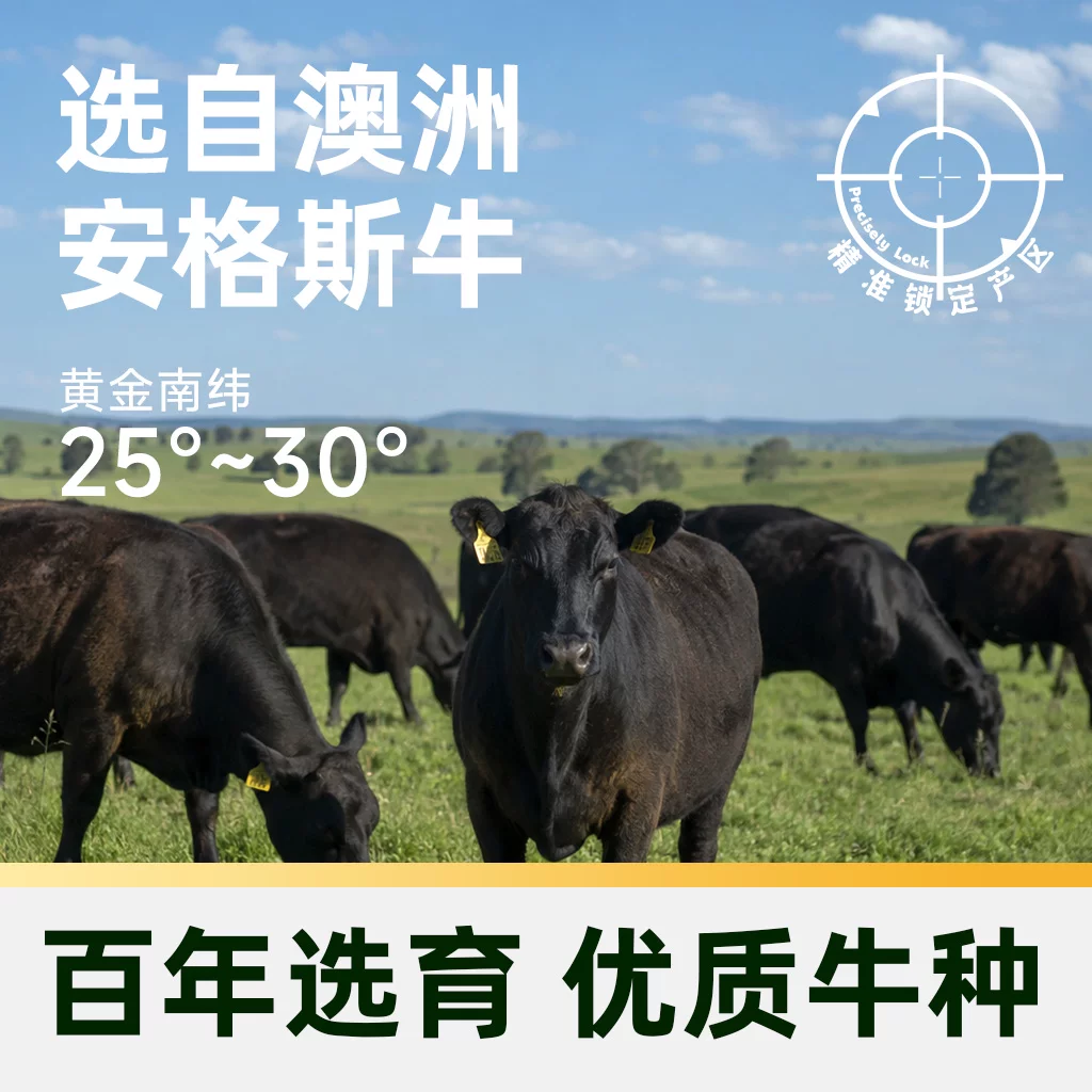 澳贝美 猫超臻选 澳洲安格斯带芯牛腱子酱卤牛肉 1500g 119.88元 - 清风线报