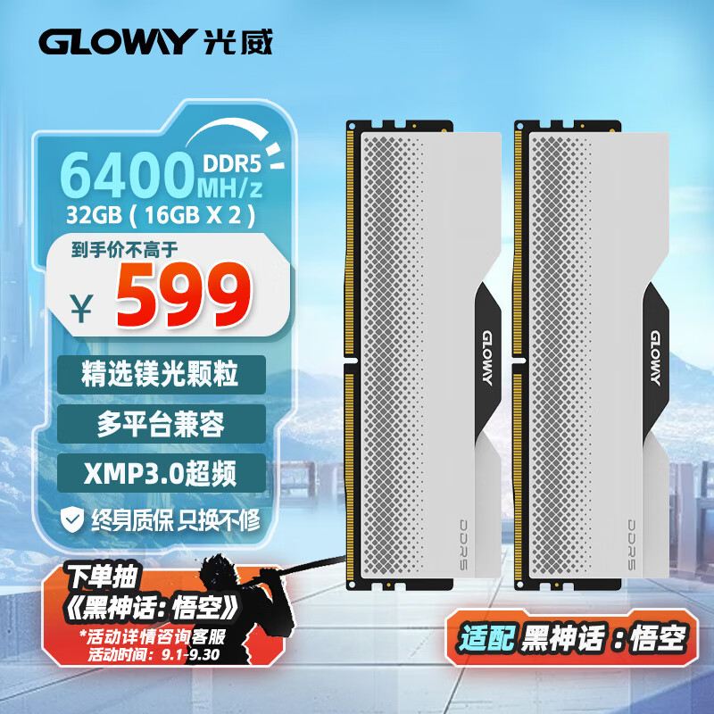 GLOWAY 光威 龙武系列 DDR5 6400MHz 台式机内存 马甲条 白色 32GB 16GBx2 ￥599