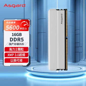 Asgard 阿斯加特 海拉系列 DDR5 5200MHz 台式机内存条 16GB ￥299