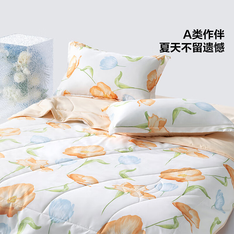 BLISS 百丽丝 A类可水洗 茶氨酸抗菌夏凉被 150cm×200cm 34.9元（需用券）