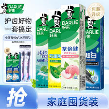 好来 黑人牙膏小苏打茶倍健双重薄荷含氟 超白茶薄荷540G 赠40g牙膏*2+牙刷*2